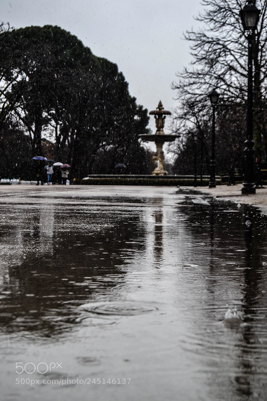 Nikon D3100 sample photo. Snowed madrid photography