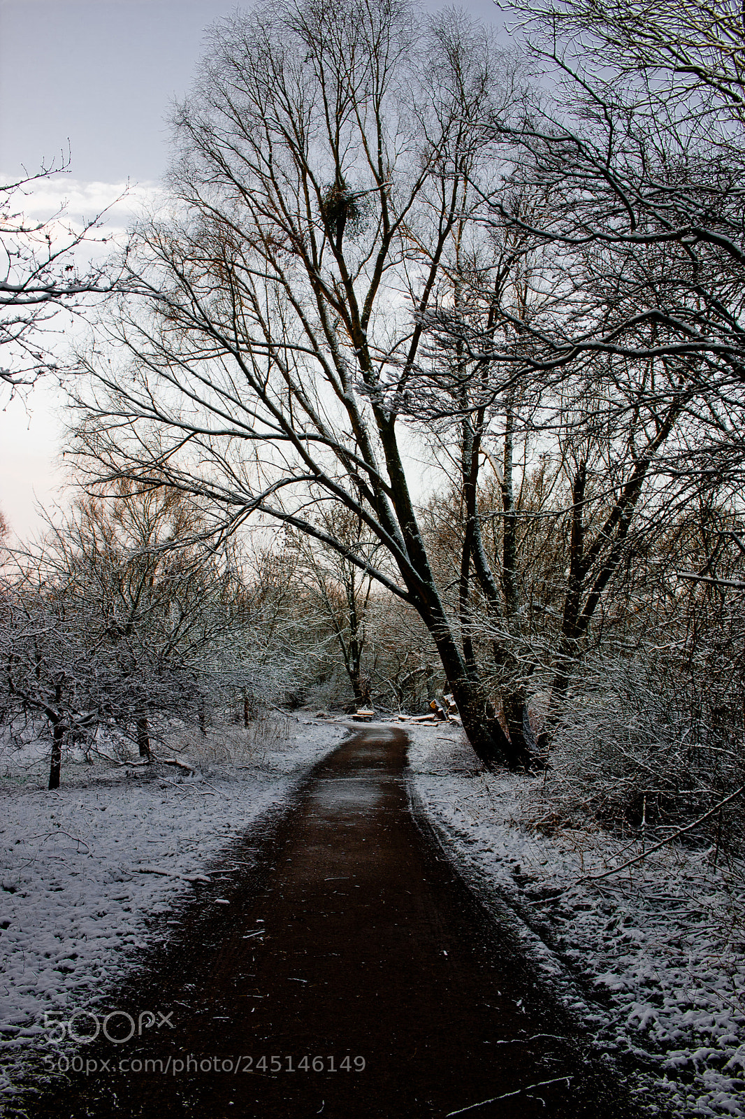 Canon EOS 40D sample photo. Img photography