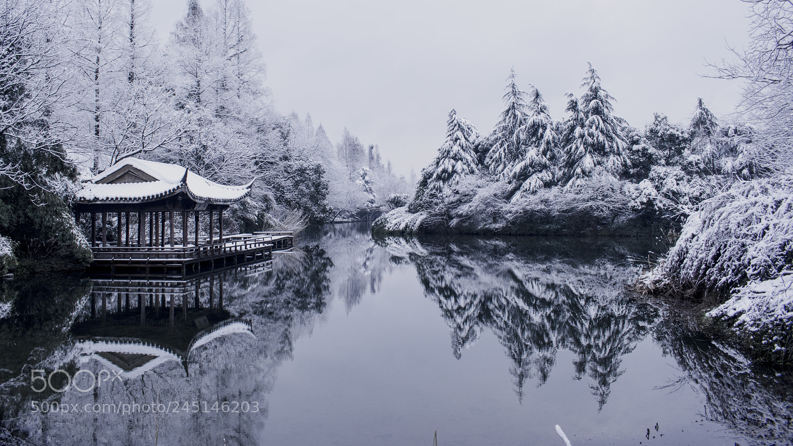 Nikon D3400 sample photo. 赵堤雪松 photography