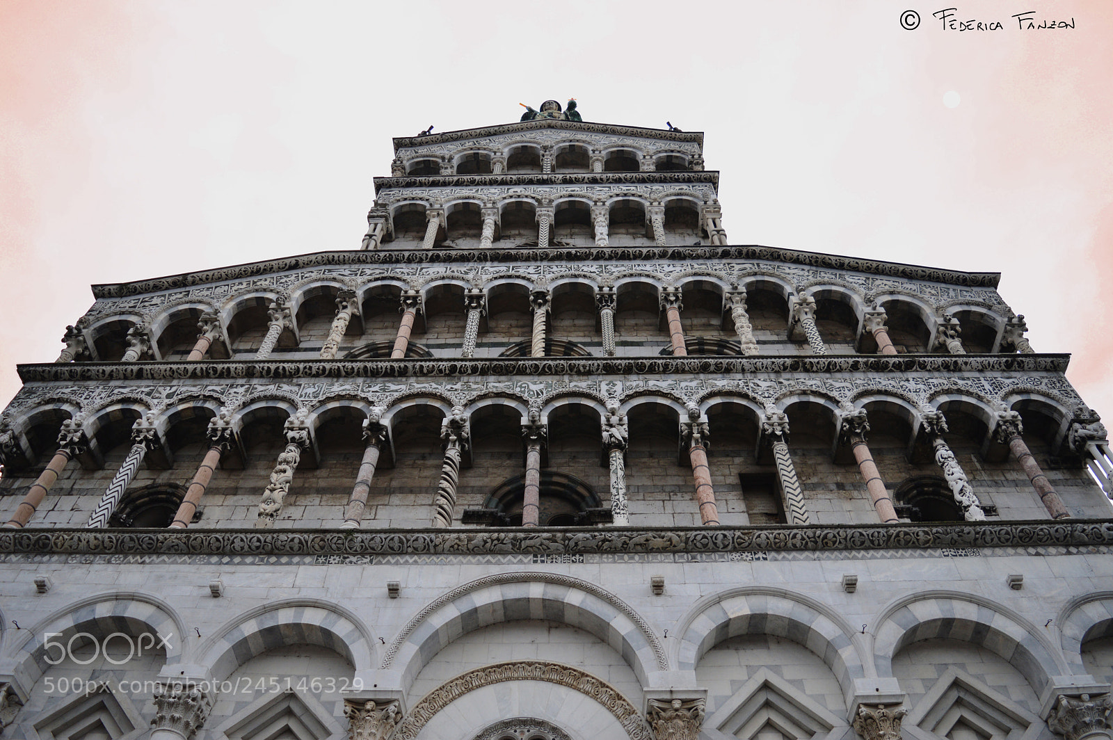 Nikon D3200 sample photo. Shades of orange photography