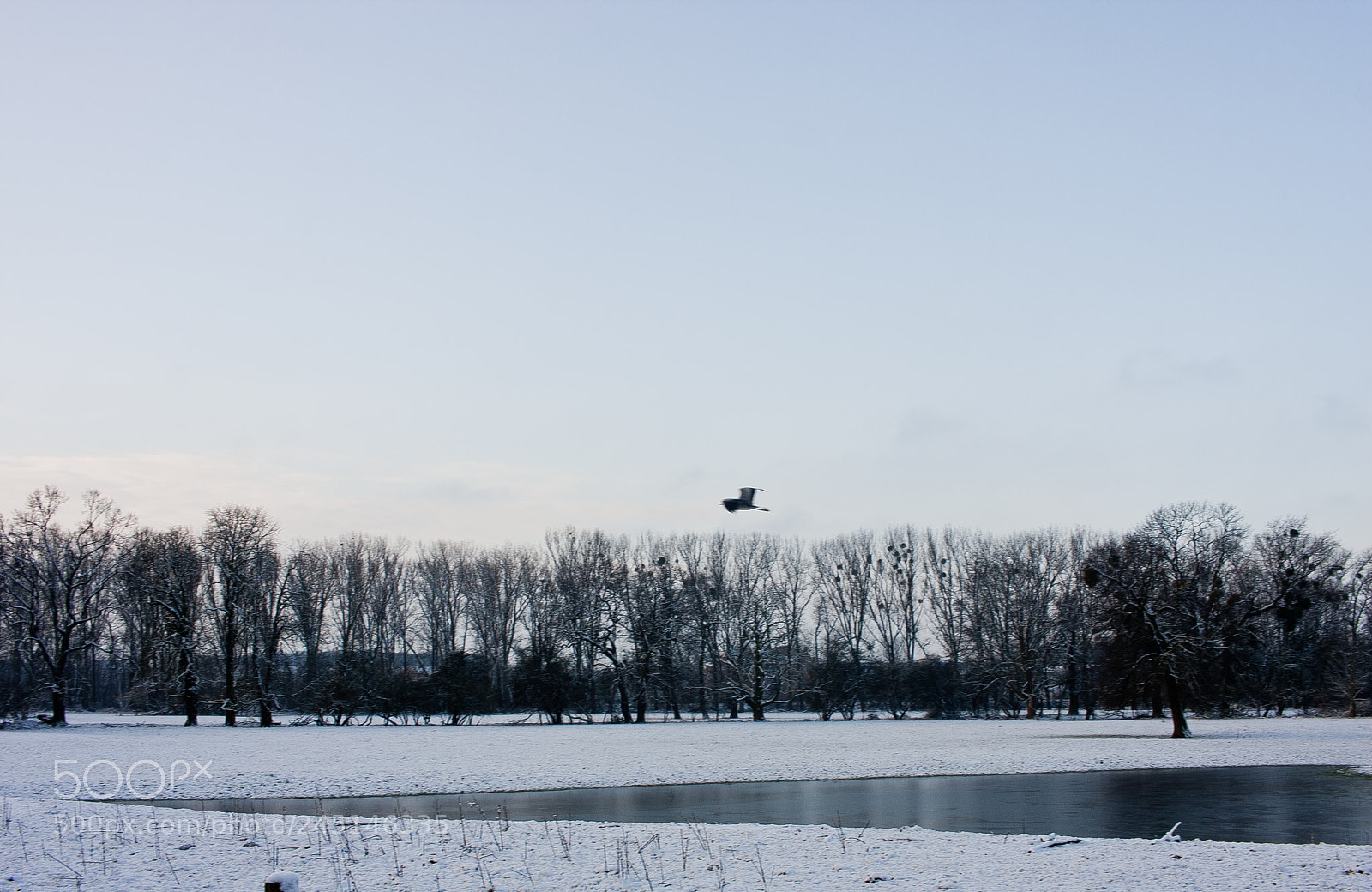 Canon EOS 40D sample photo. Img photography