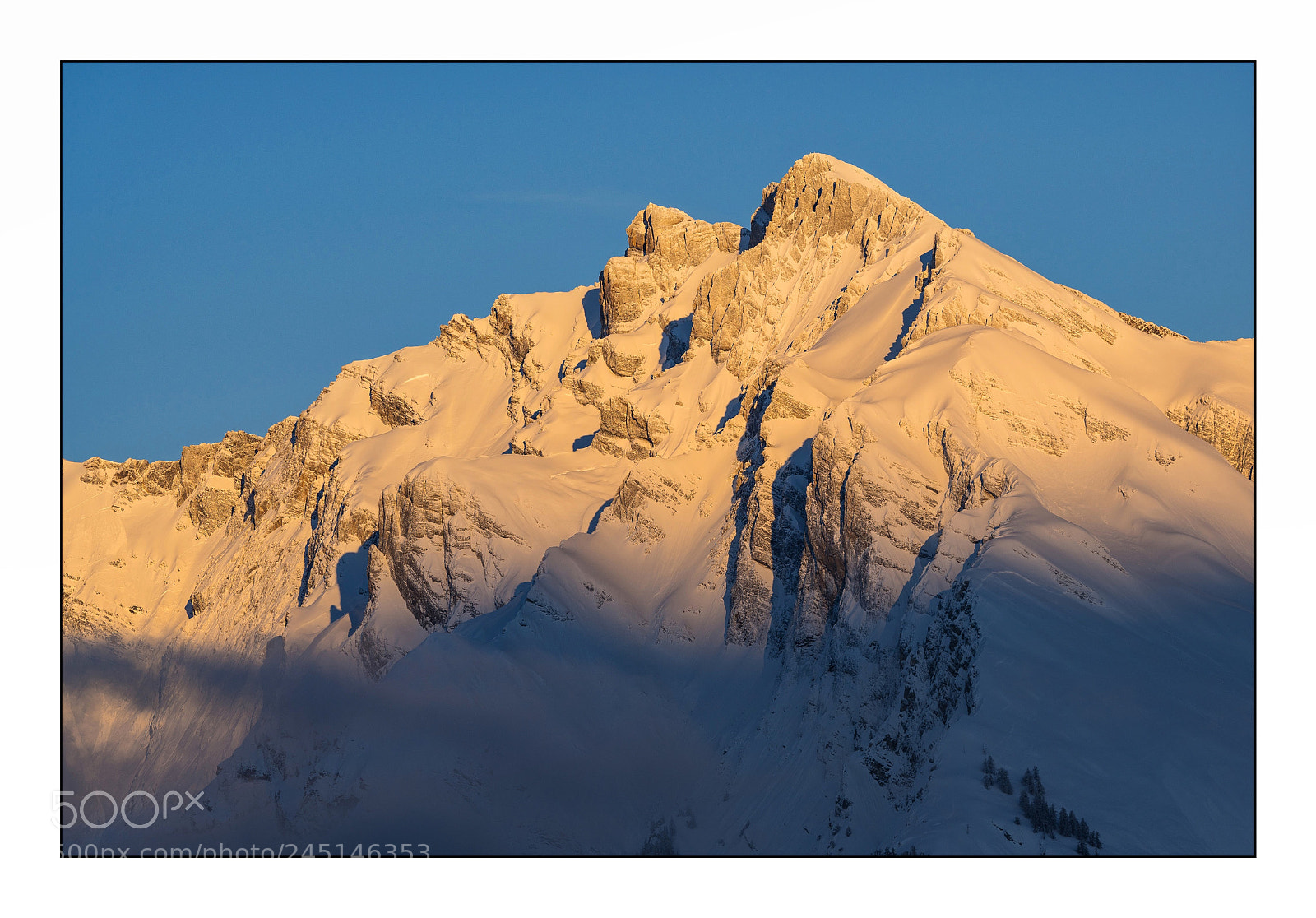 Sony a7R III sample photo. Haut de cry au photography