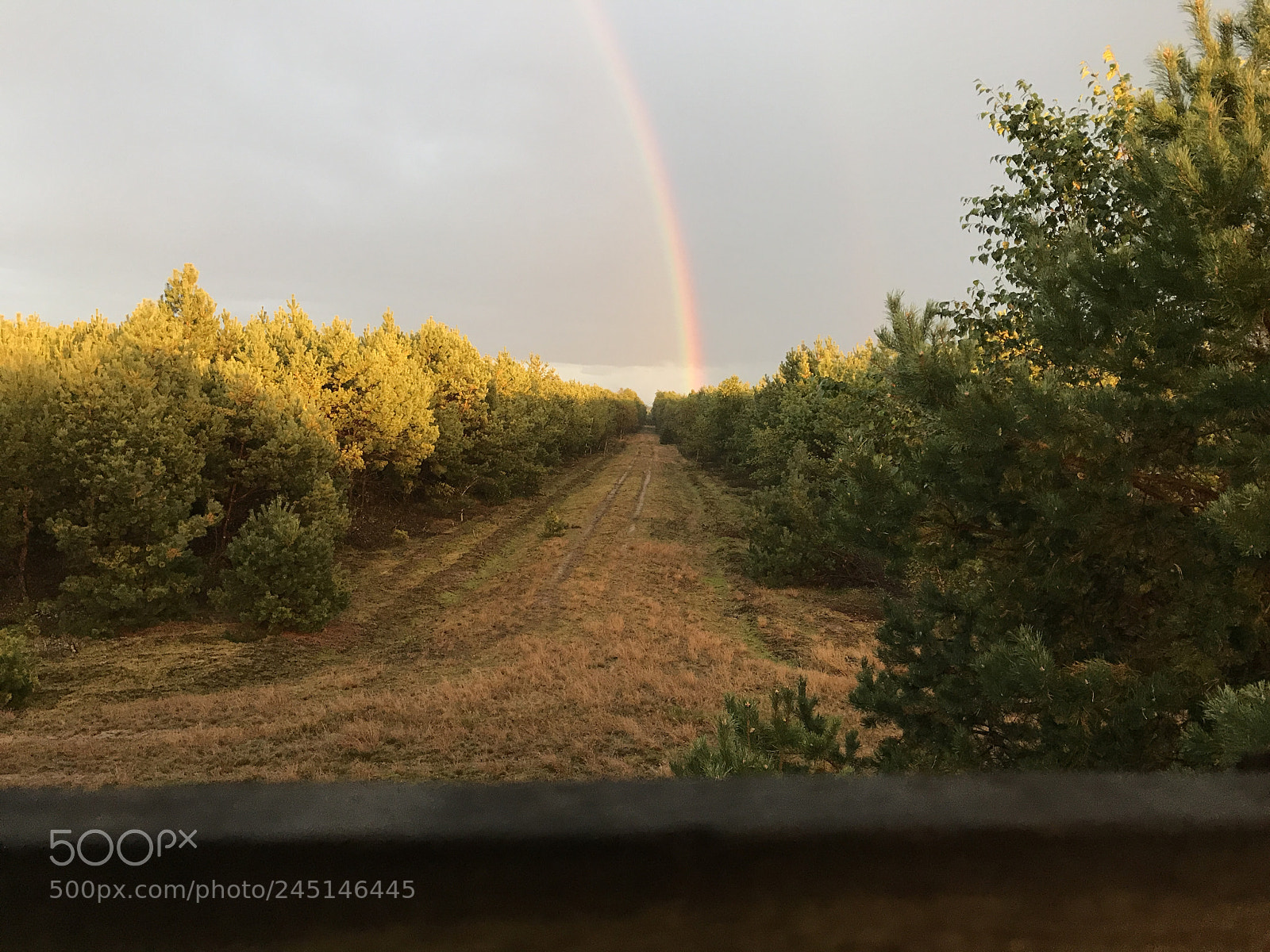 Apple iPhone 7 Plus sample photo. Untitled photography