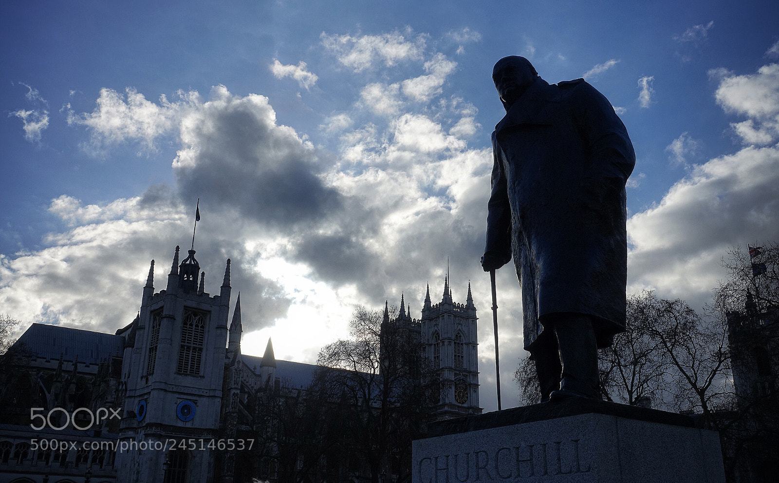 Sony Cyber-shot DSC-RX10 III sample photo. Winston.. photography
