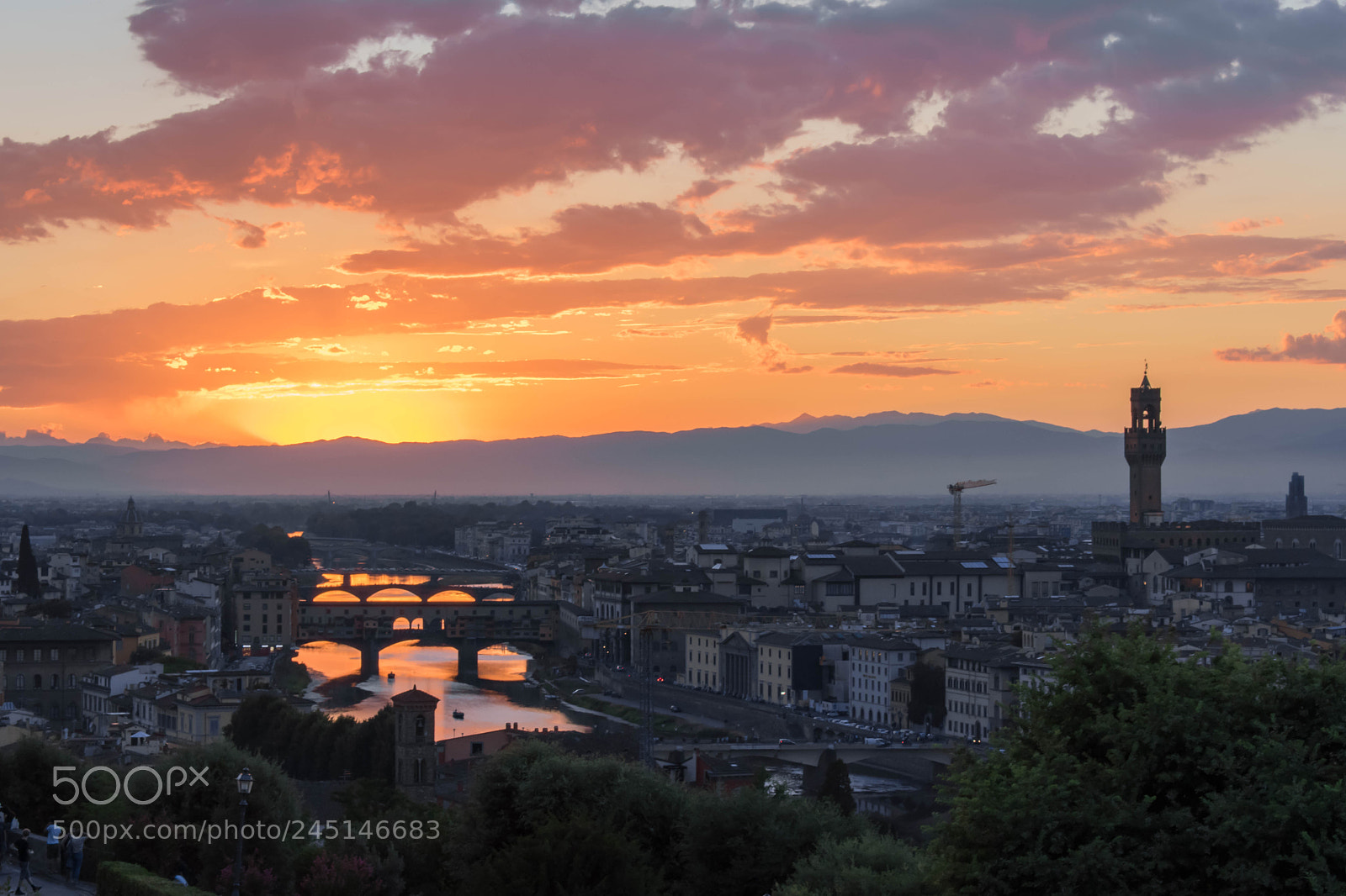 Nikon D3400 sample photo. Florentine glow photography