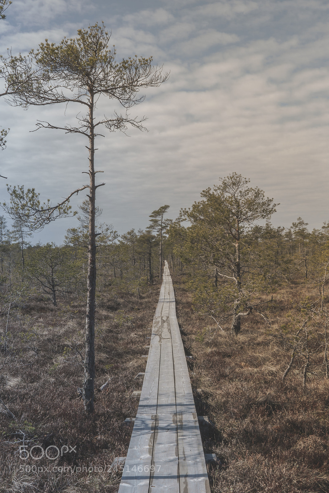 Sony a7 sample photo. Laipa photography