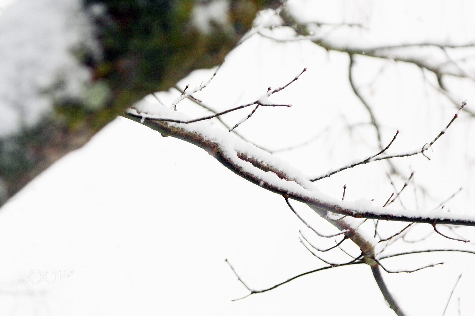 Canon EOS 700D (EOS Rebel T5i / EOS Kiss X7i) + Canon EF 24-105mm F4L IS USM sample photo. Let it snow... photography