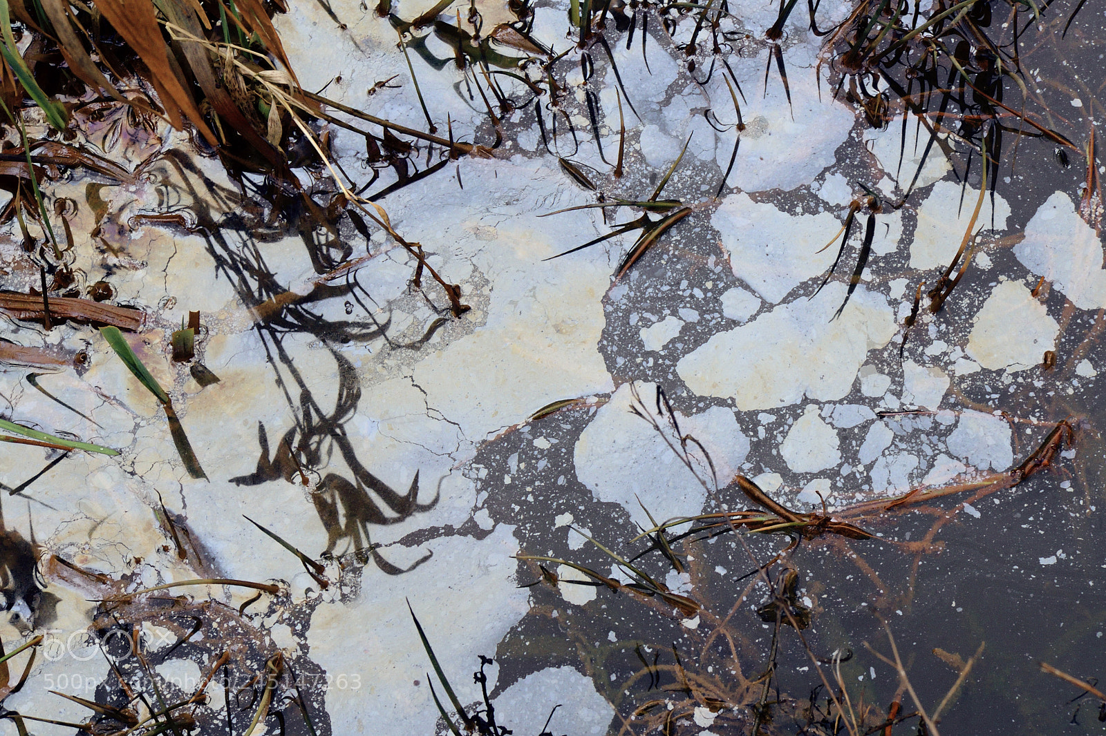 Nikon D7500 sample photo. Not ice floes photography