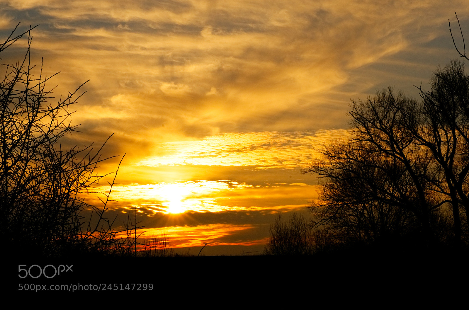 Sony ILCA-77M2 sample photo. Morning sun photography