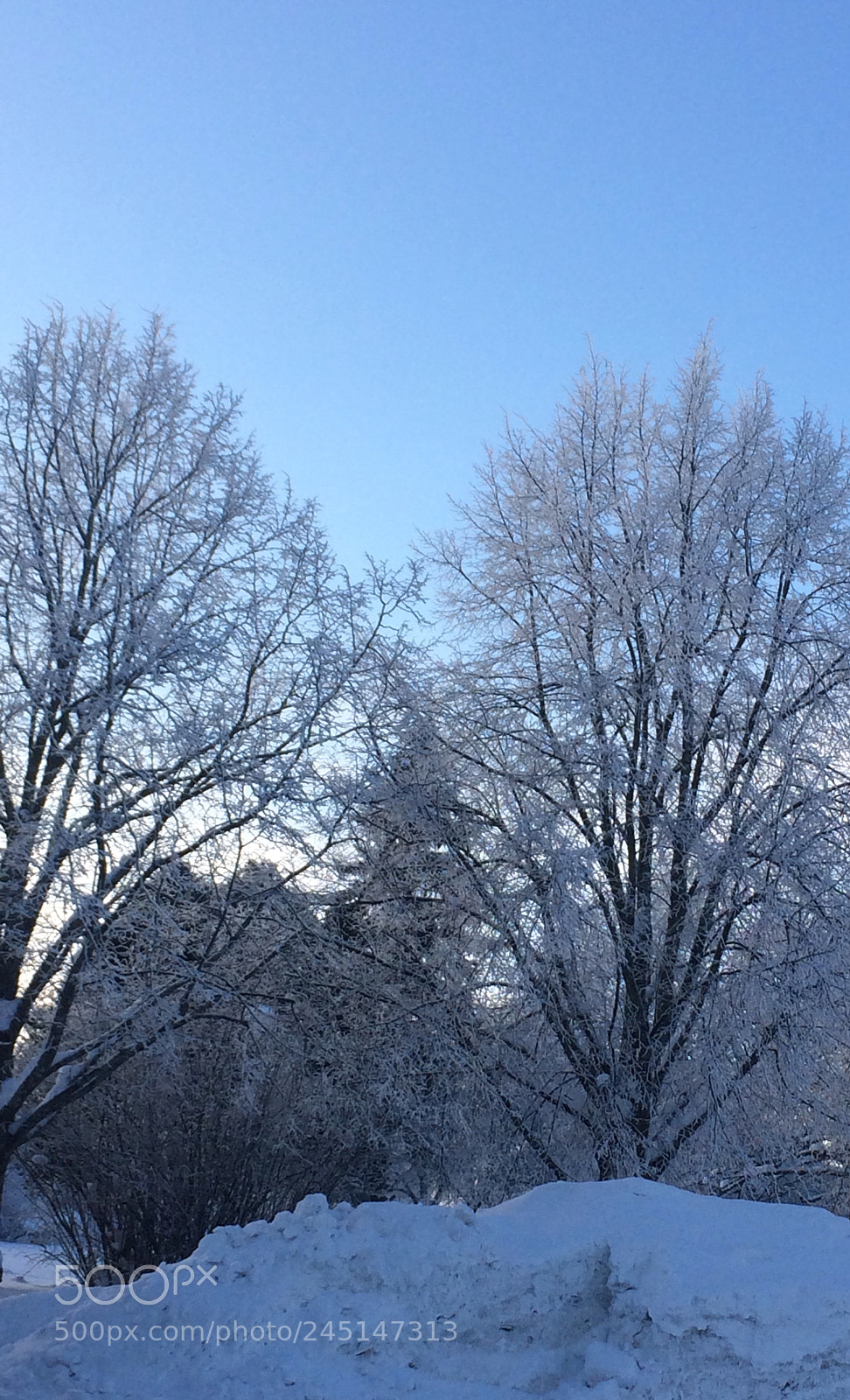 Apple iPhone 5s sample photo. Untitled photography