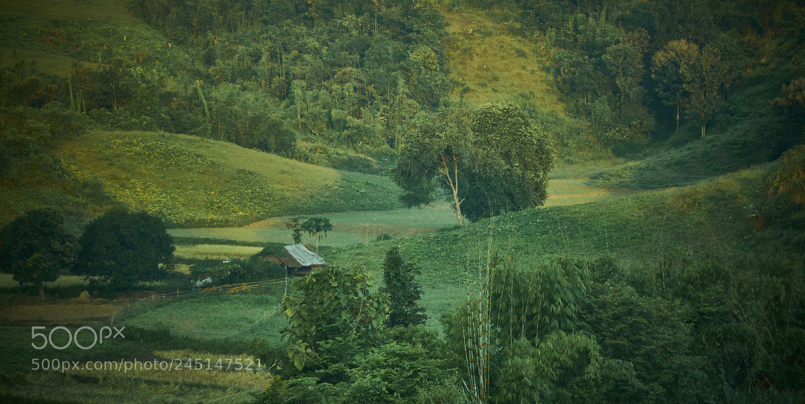 Nikon D7200 sample photo. A place for photography