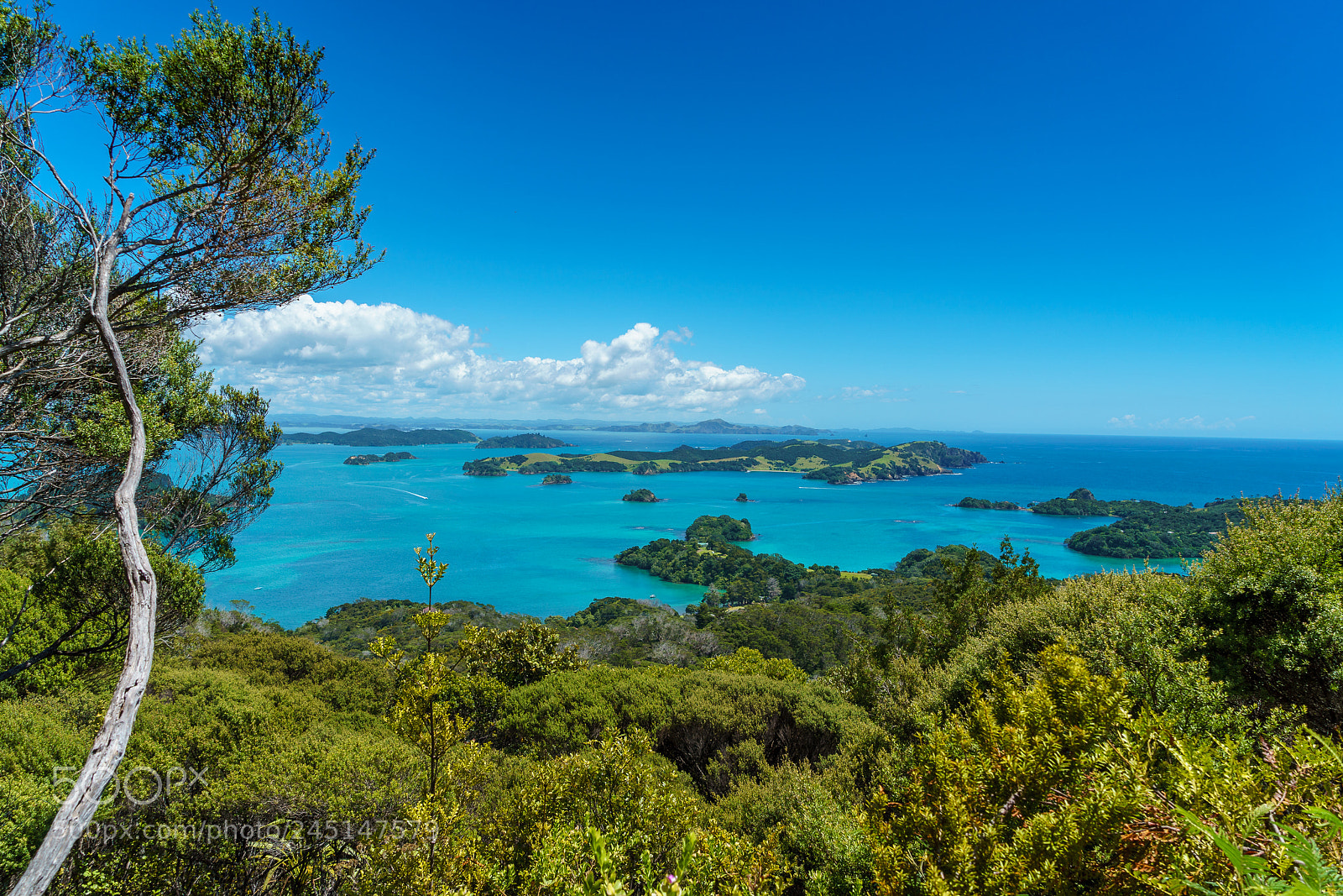 Sony a9 sample photo. Bay of islands photography