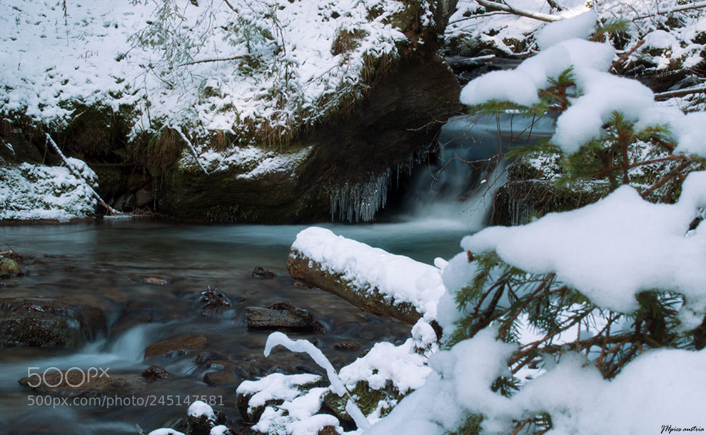 Canon EOS 550D (EOS Rebel T2i / EOS Kiss X4) sample photo. Winterwonderland photography