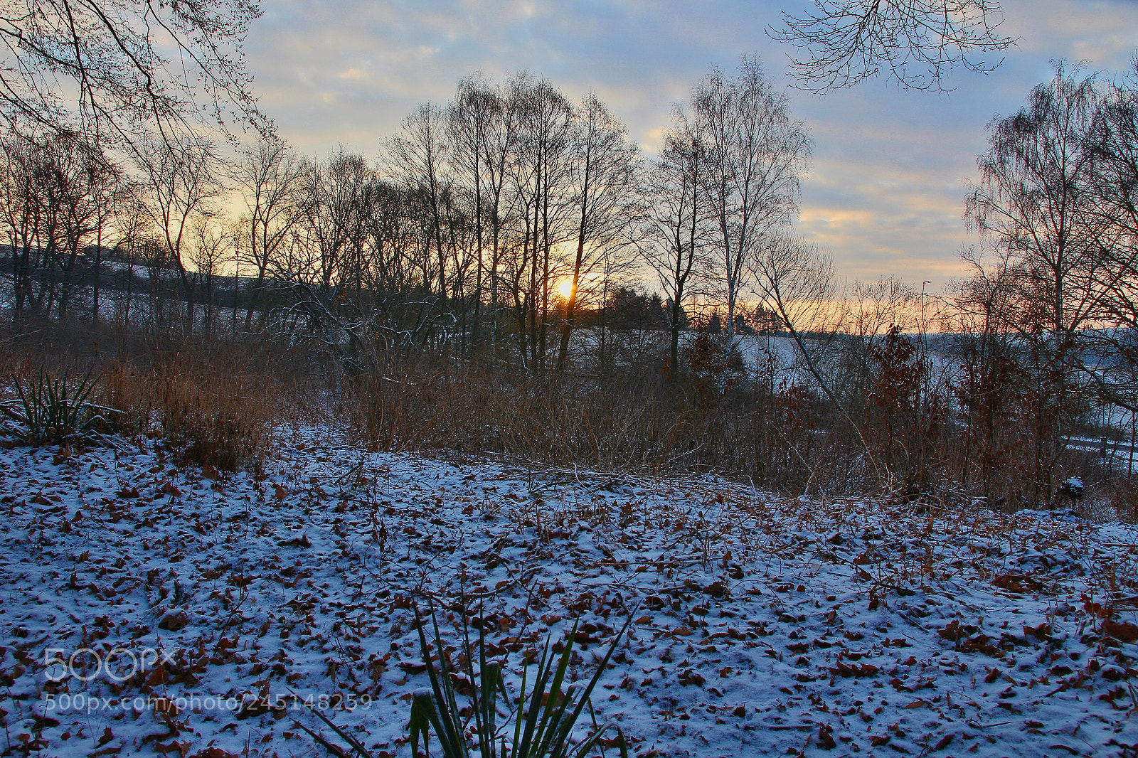 Canon EOS 100D (EOS Rebel SL1 / EOS Kiss X7) sample photo. A little snow photography