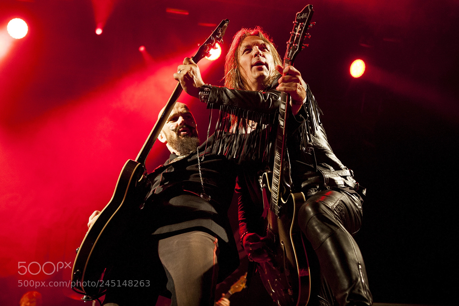 Canon EOS-1D Mark III sample photo. Electric guitars photography
