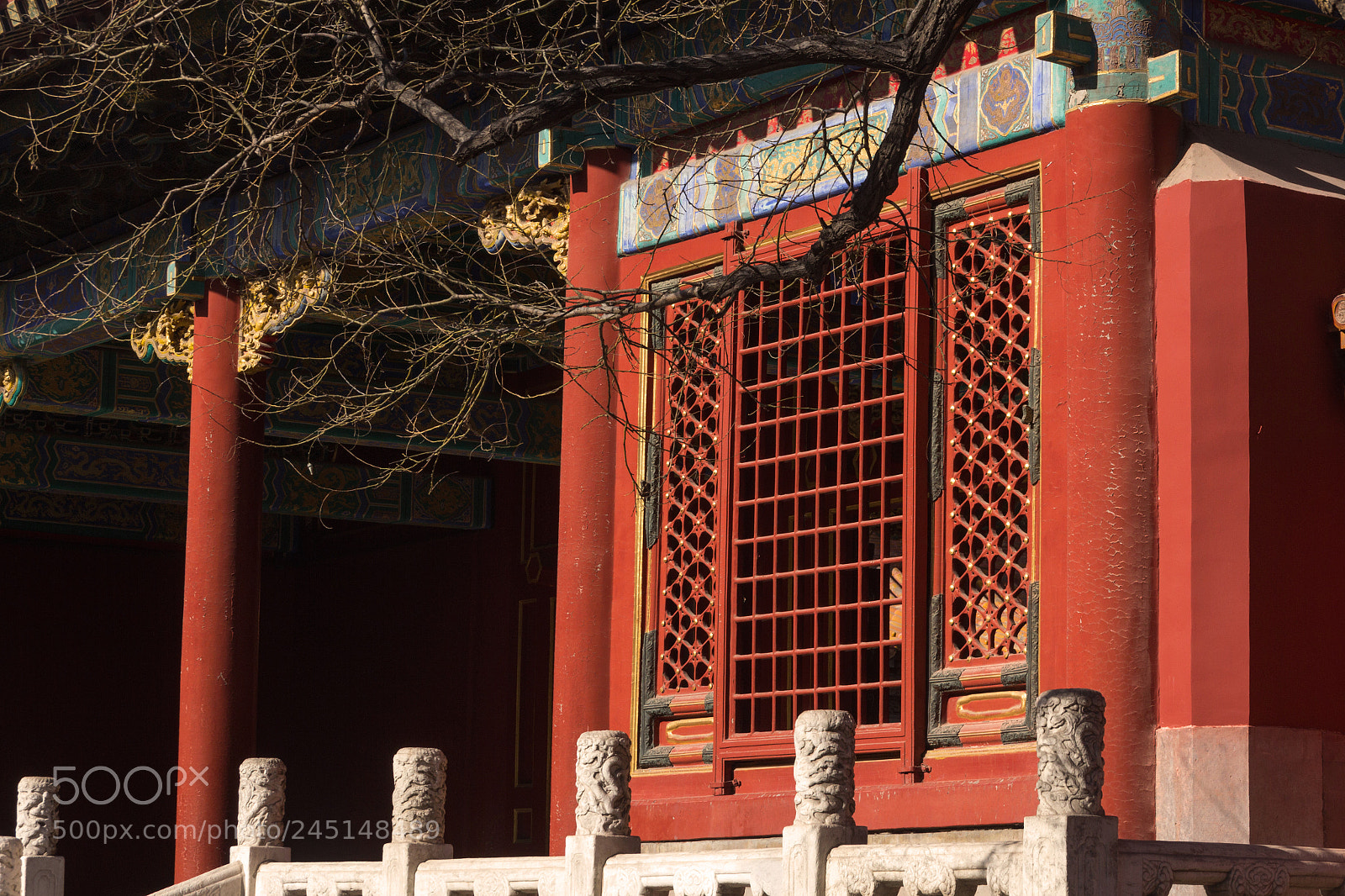 Canon EOS 60D sample photo. 4.jpg photography