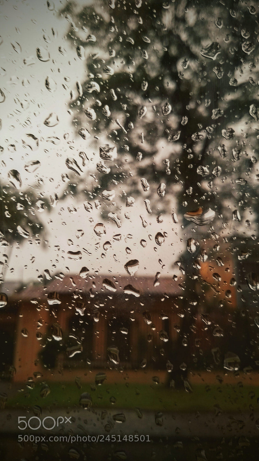 Motorola Moto G (5S) sample photo. Untitled photography