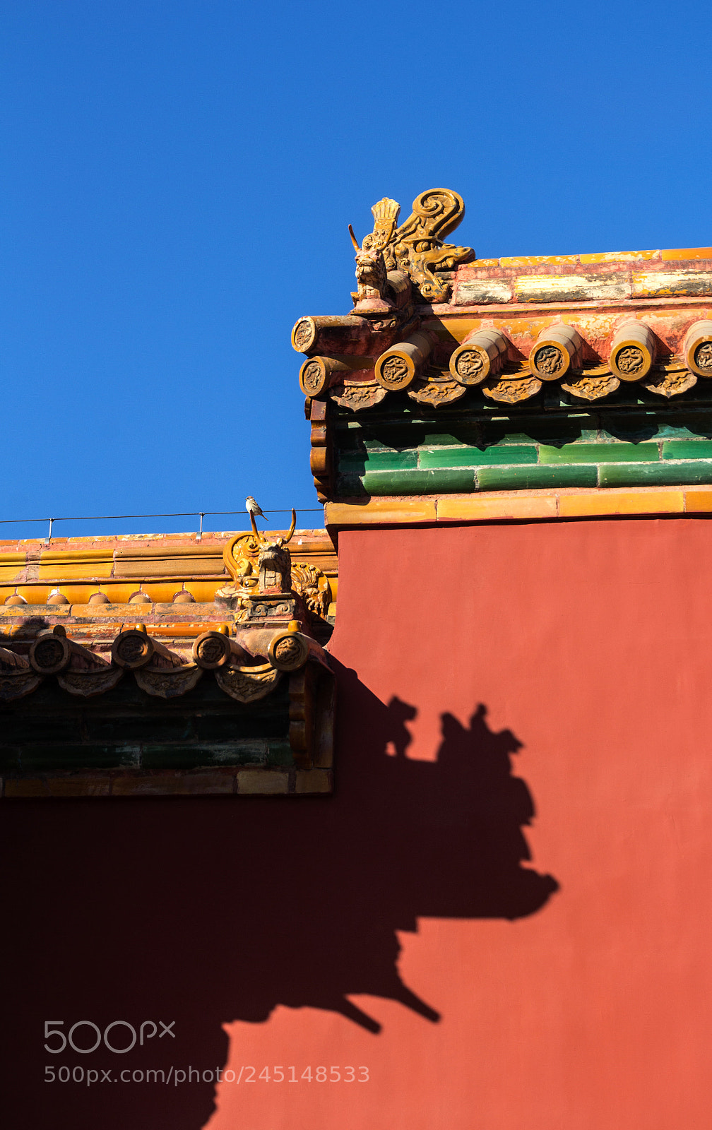 Canon EOS 60D sample photo. 1.jpg photography