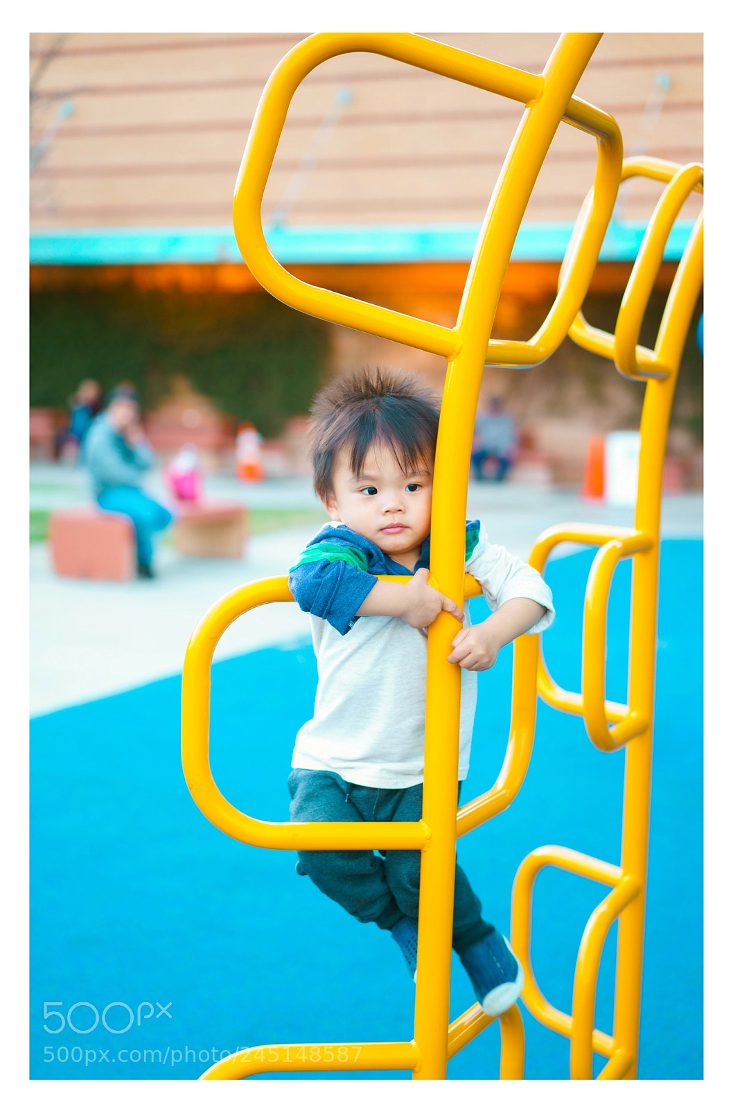 Sony a7R II sample photo. Dsc photography