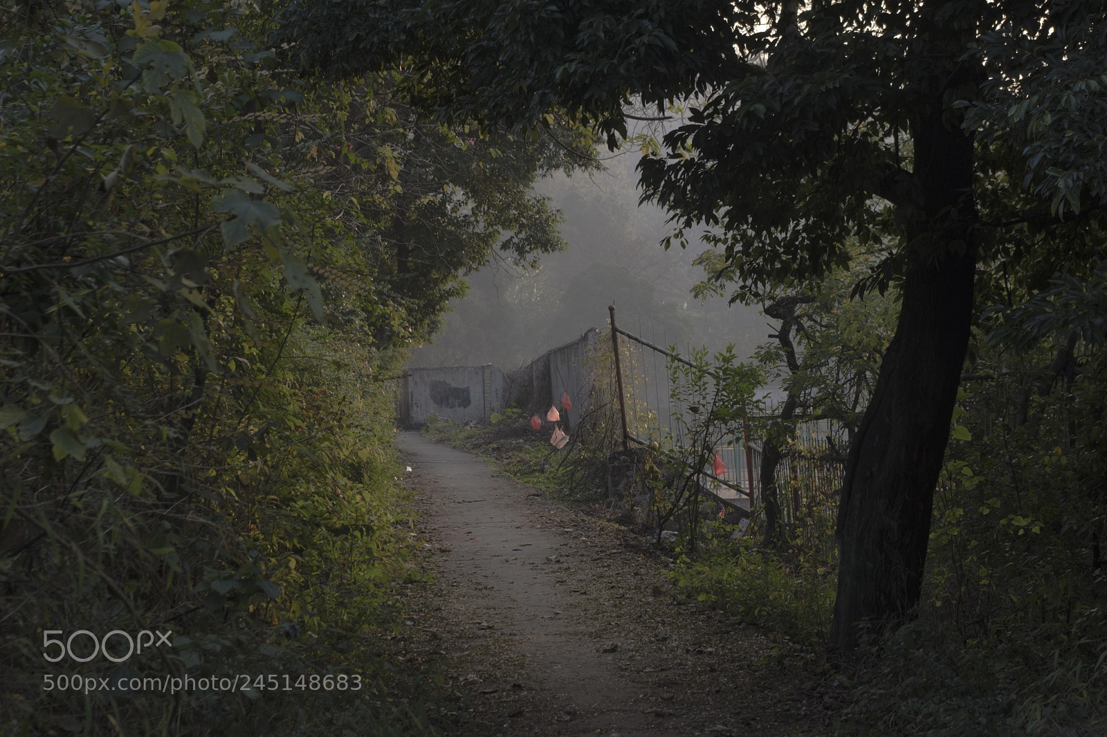 Pentax K-70 sample photo. 路 photography