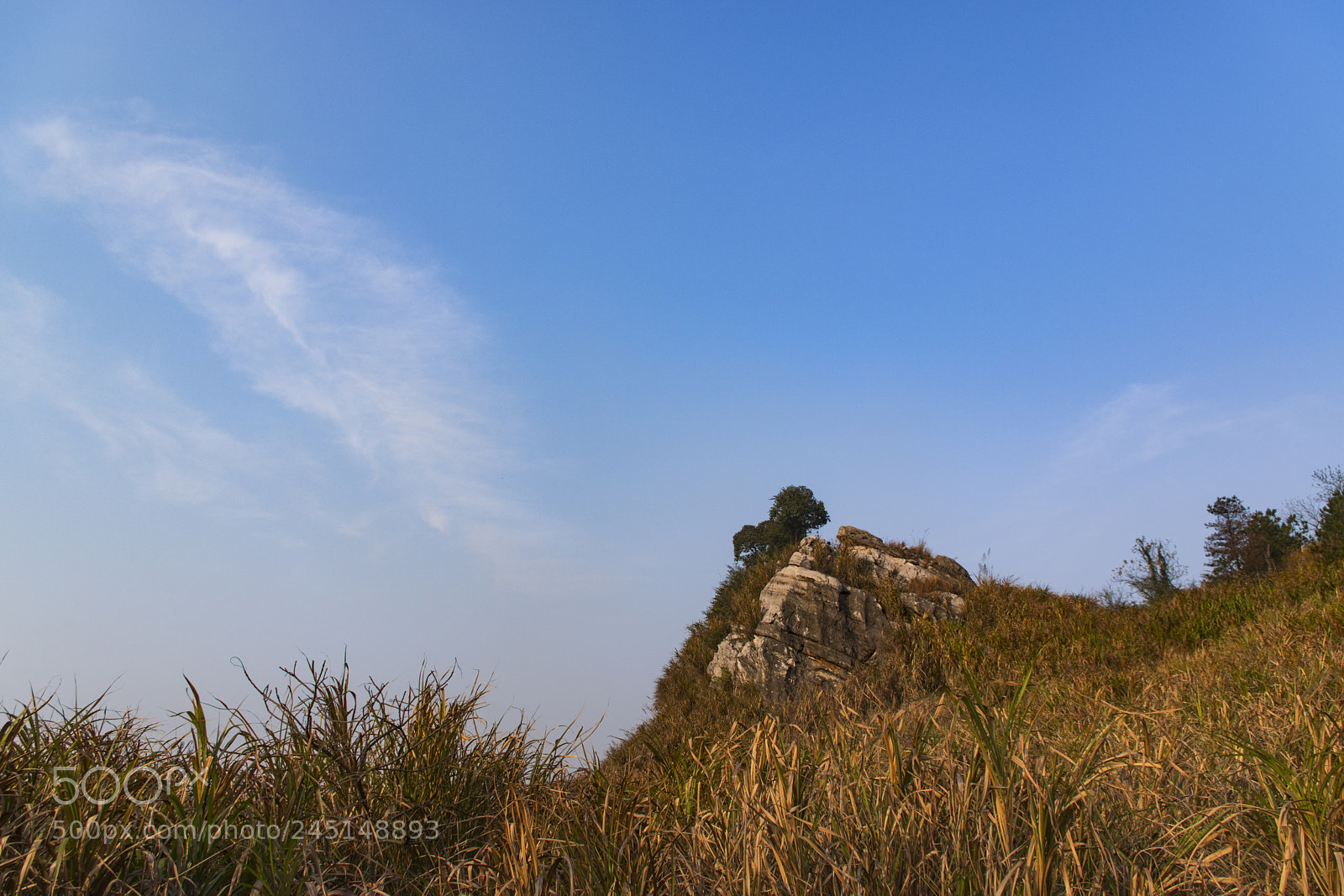 Pentax K-70 sample photo. 山石 photography