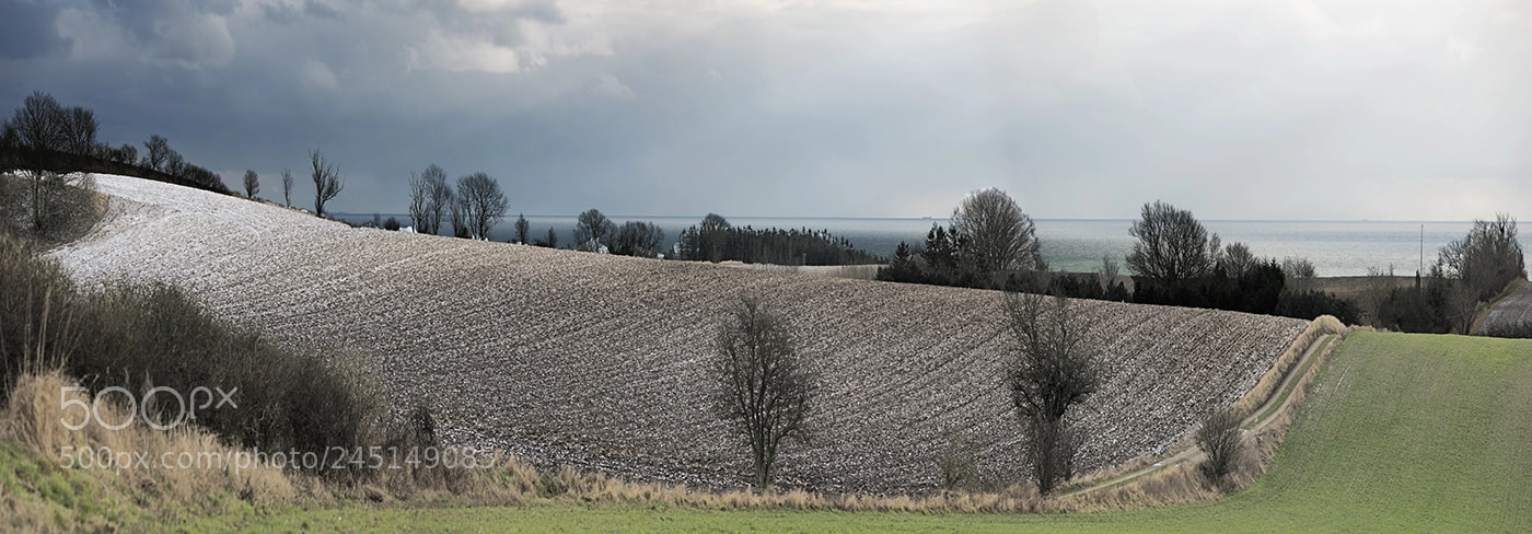Nikon D800 sample photo. Just like a landscape photography