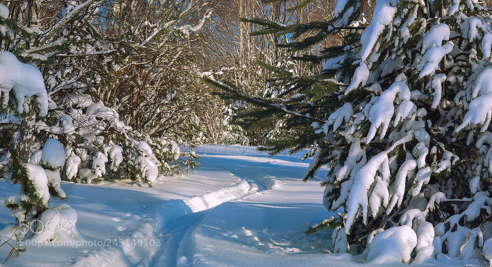 Nikon D3100 sample photo. () photography