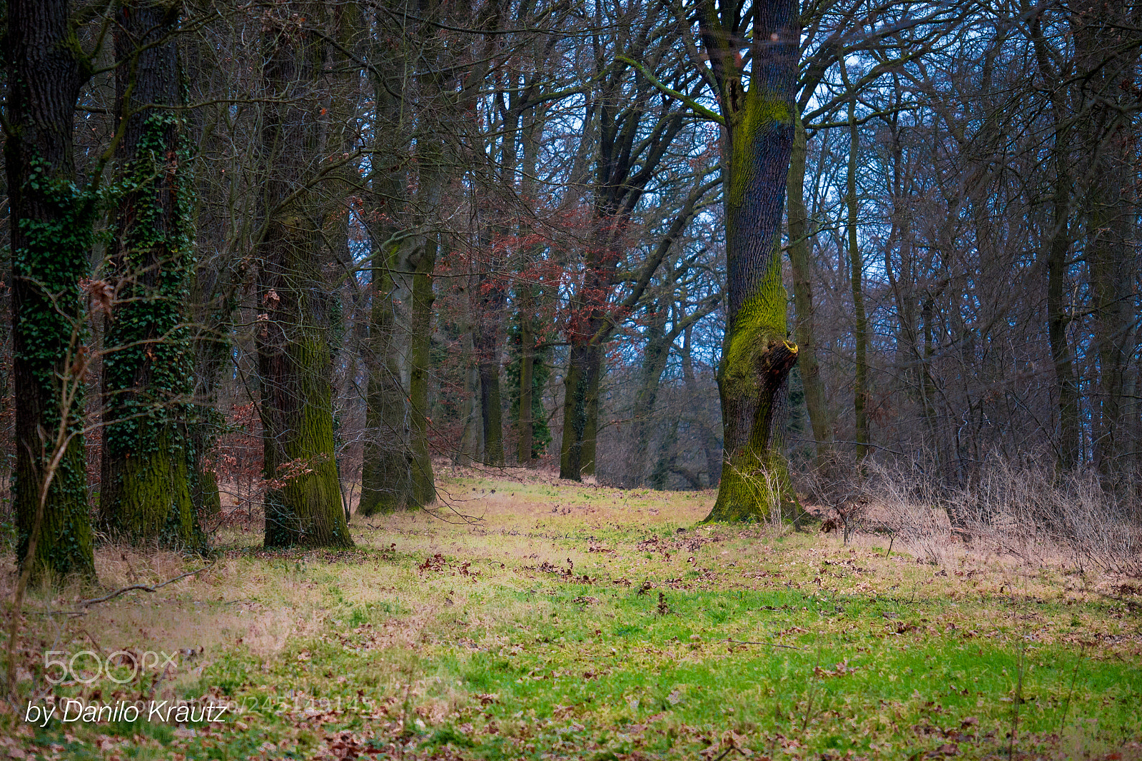 Panasonic Lumix DMC-G6 sample photo. Ruinenberg potsdam photography