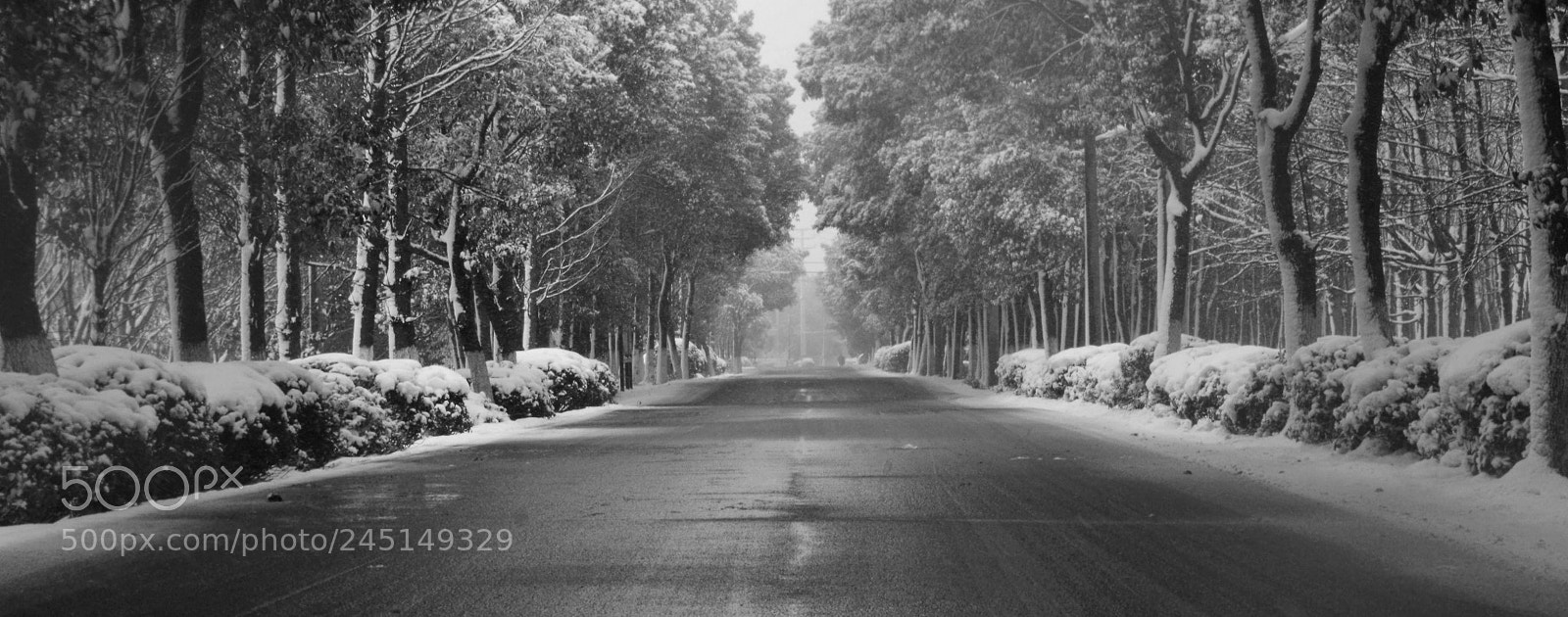 Pentax K-50 sample photo. 雪 photography