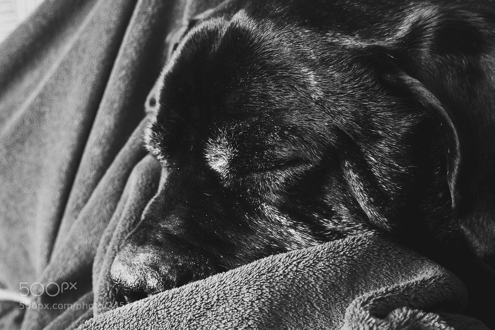 Panasonic Lumix DMC-ZS100 (Lumix DMC-TZ100) sample photo. Sleeping photography
