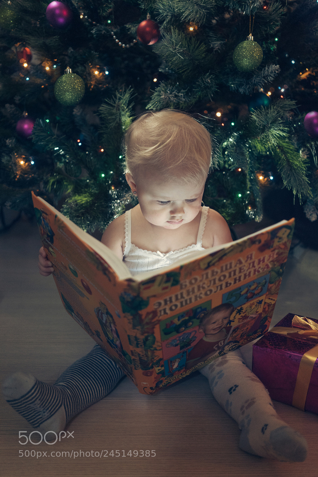 Sony a7 sample photo. Book photography