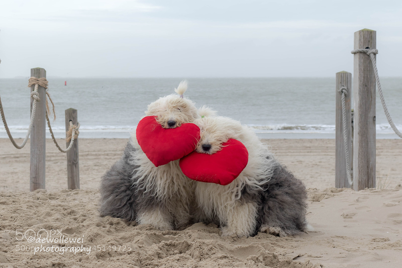 Canon EOS 7D Mark II sample photo. We love the beach photography