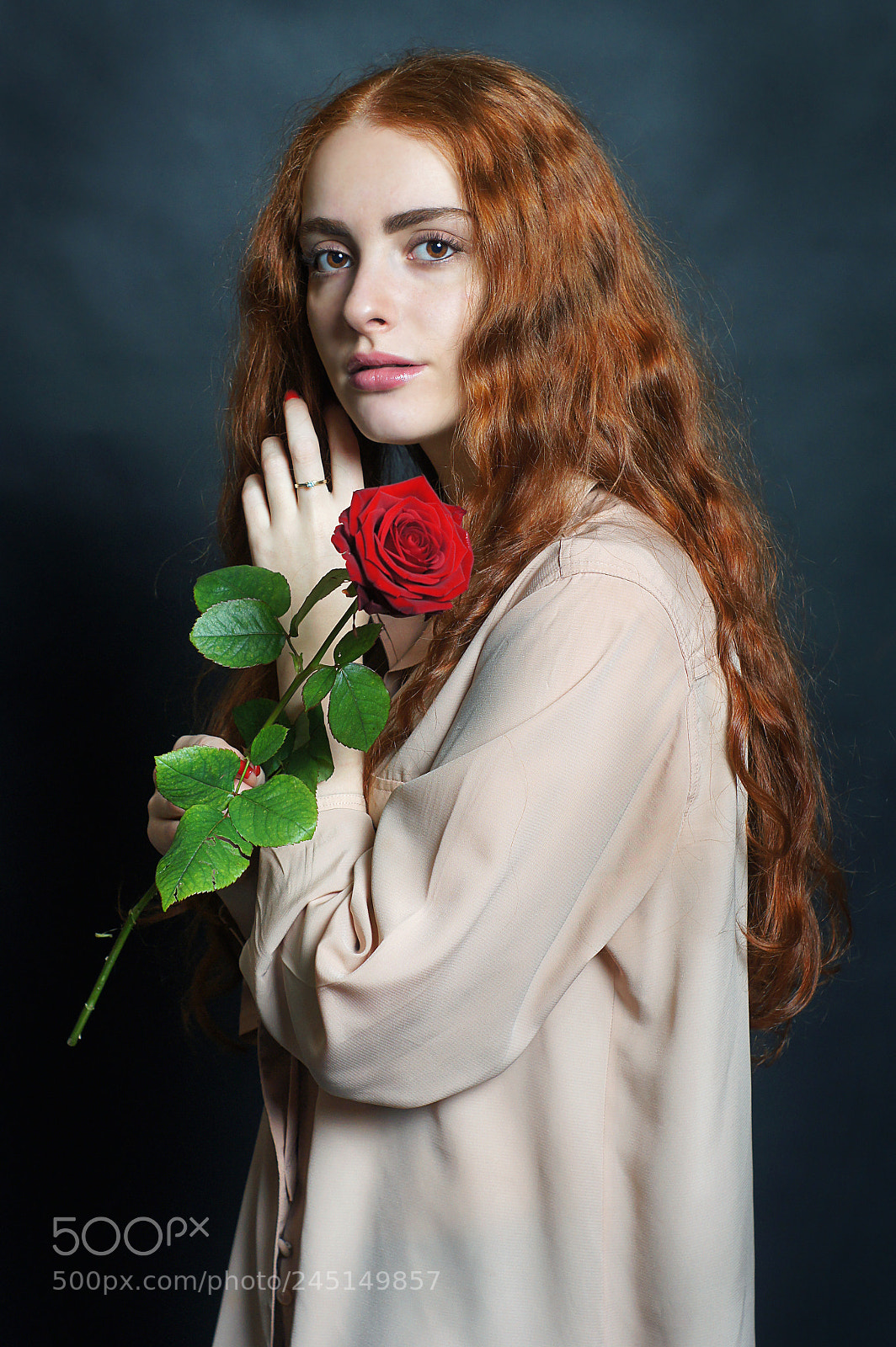Sony SLT-A55 (SLT-A55V) sample photo. Portrait with rose photography