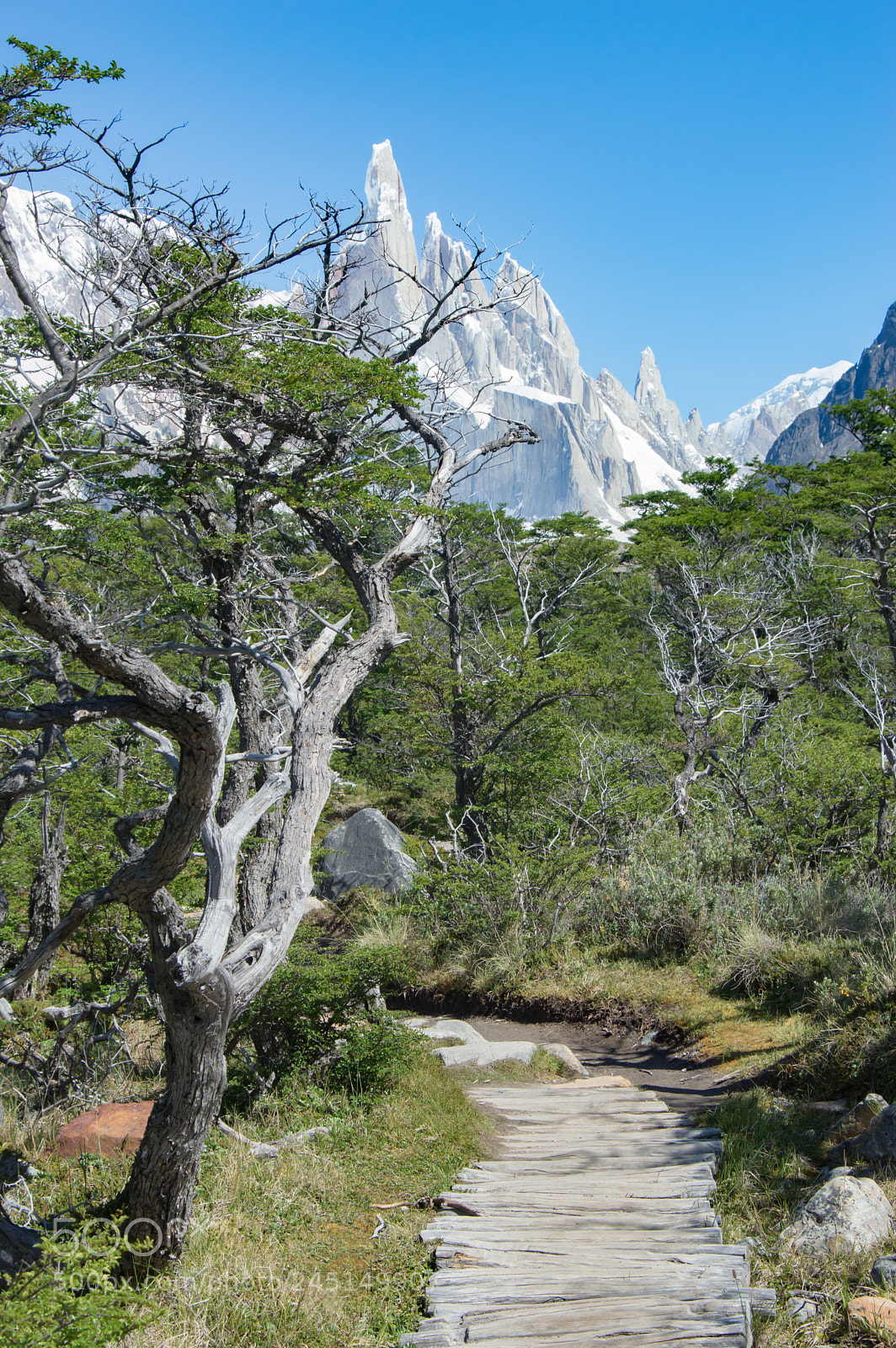 Nikon D3200 sample photo. Path to cerro torre photography