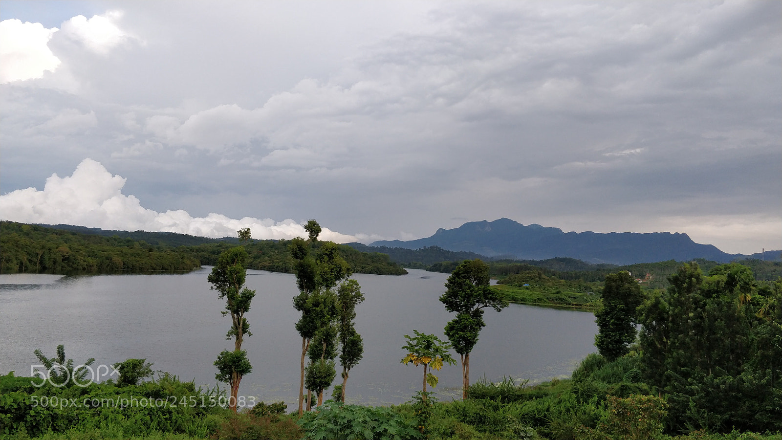 OnePlus 5 sample photo. Go green photography