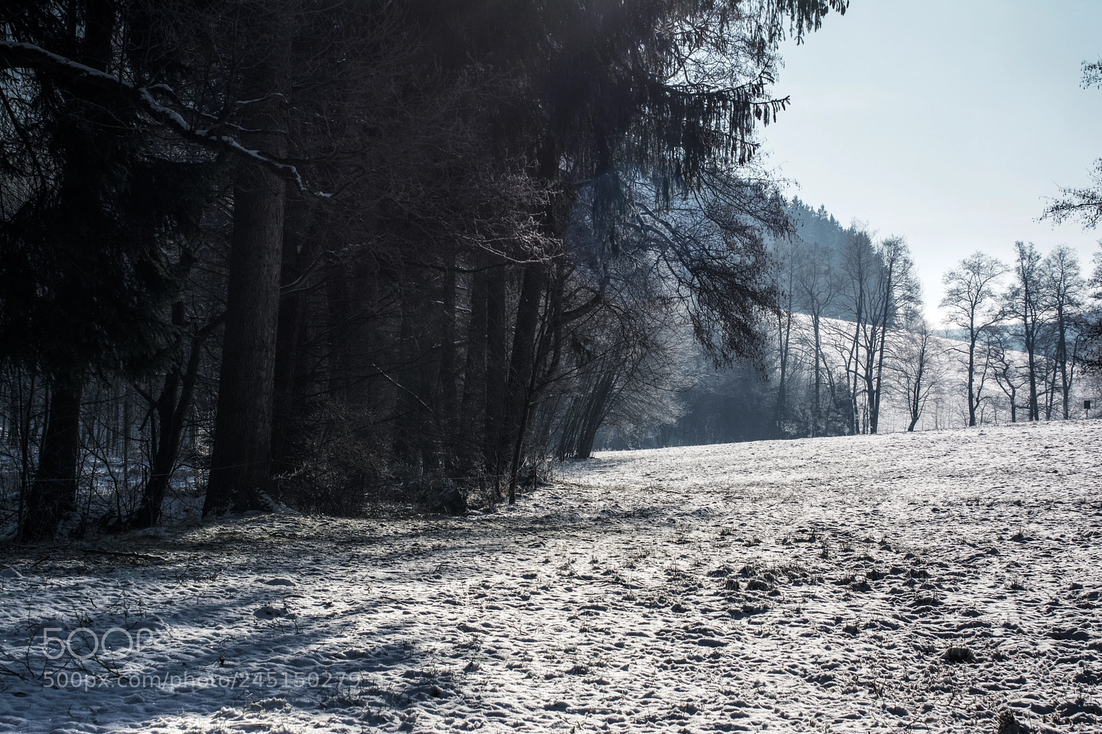 Nikon D5200 sample photo. A blue day photography