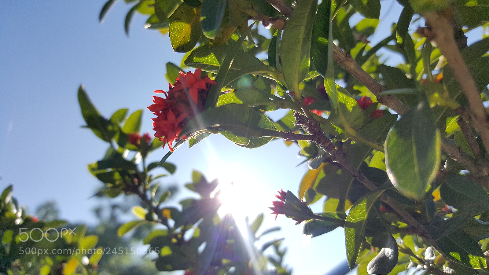 Samsung GALAXY S6 edge sample photo. 20171230_092014.jpg photography