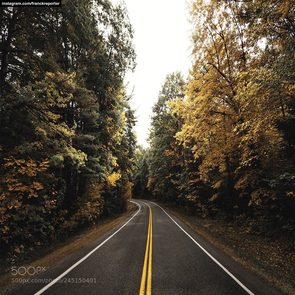 Nikon D800 sample photo. On the road in photography
