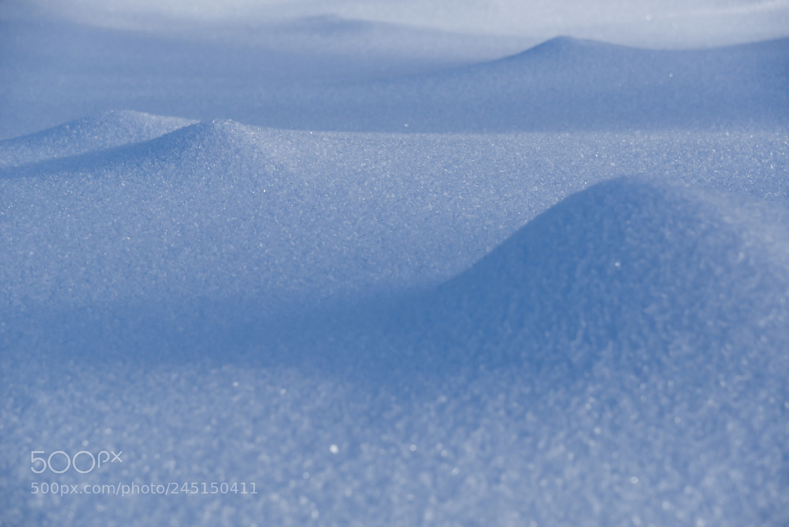 Nikon D610 sample photo. Intimate winter photography