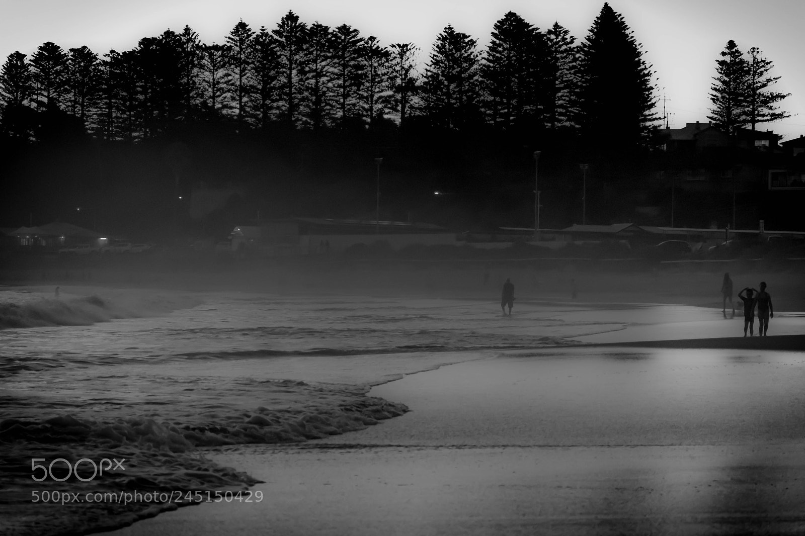 Nikon D5600 sample photo. Silent strolls photography