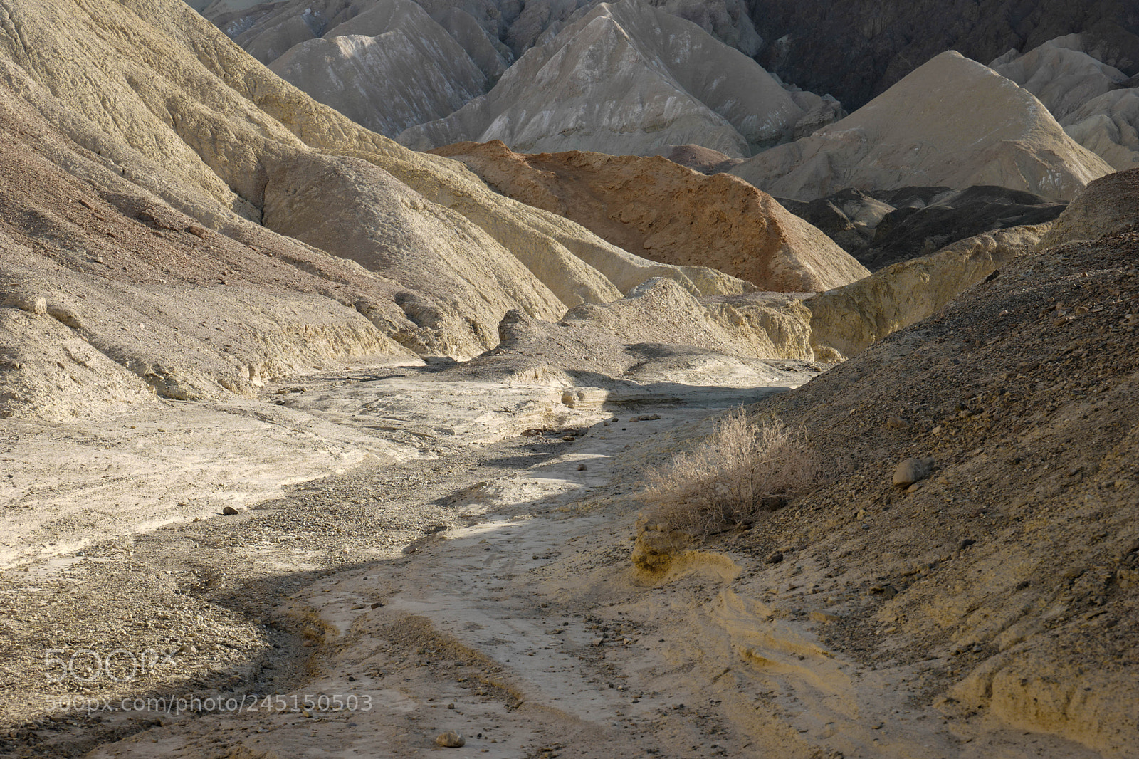Leica SL (Typ 601) sample photo. 20 mule team canyon photography