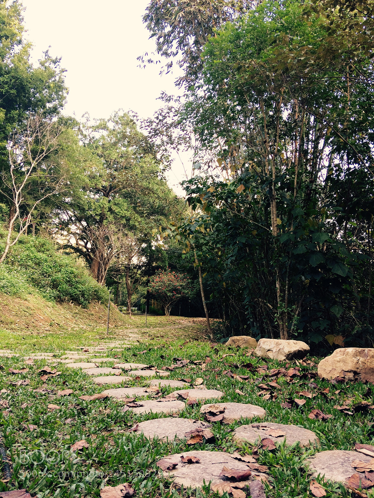 Apple iPhone 5s sample photo. Taiwan photography