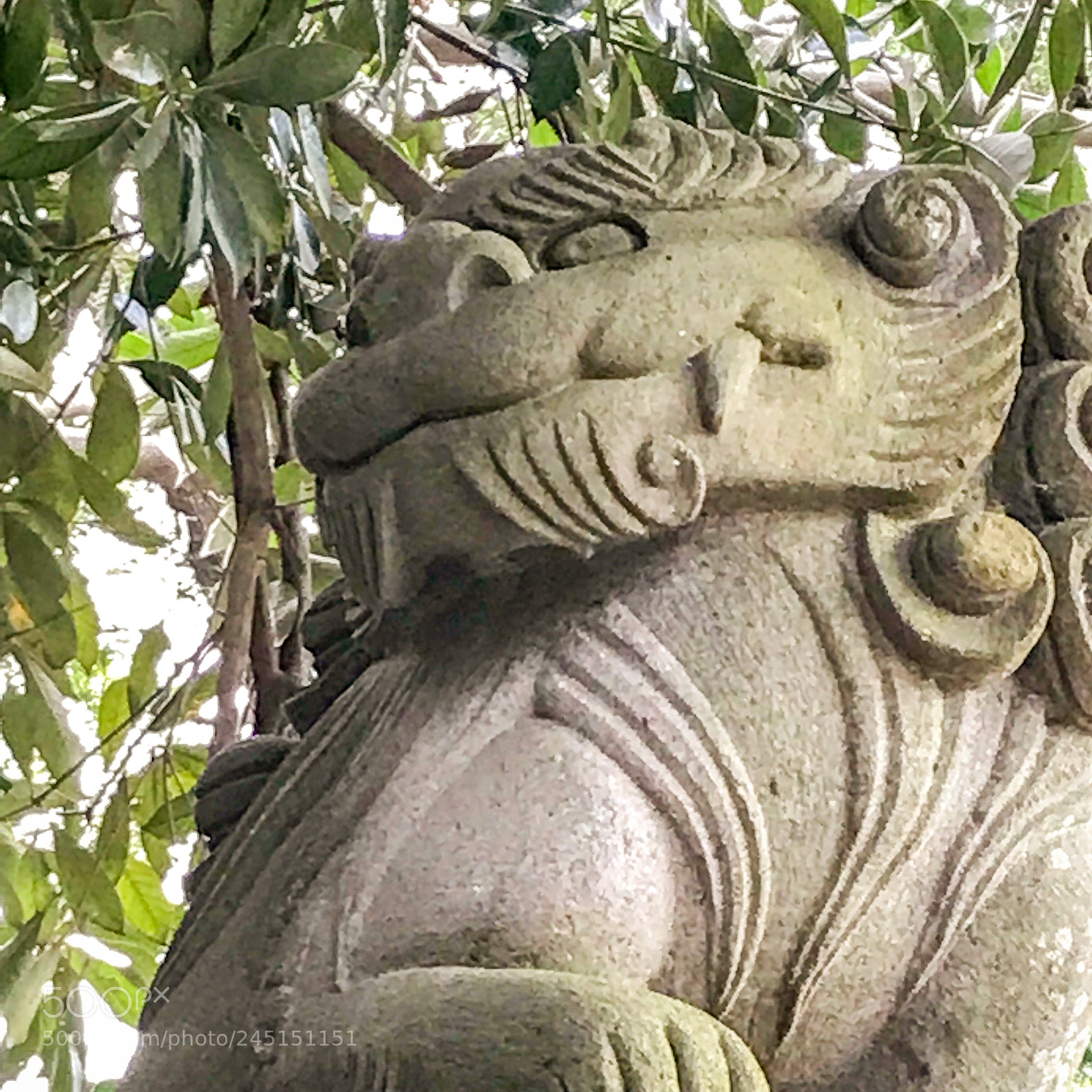 Apple iPhone 7 sample photo. 遊  #41 photography