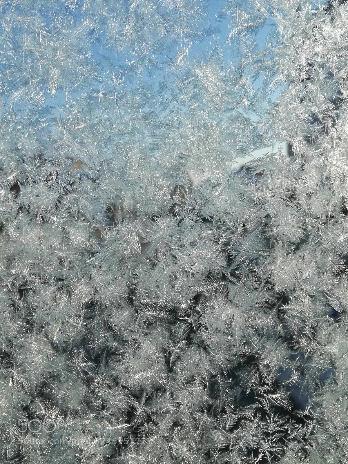 HUAWEI P9 LITE sample photo. Frosty glass photography