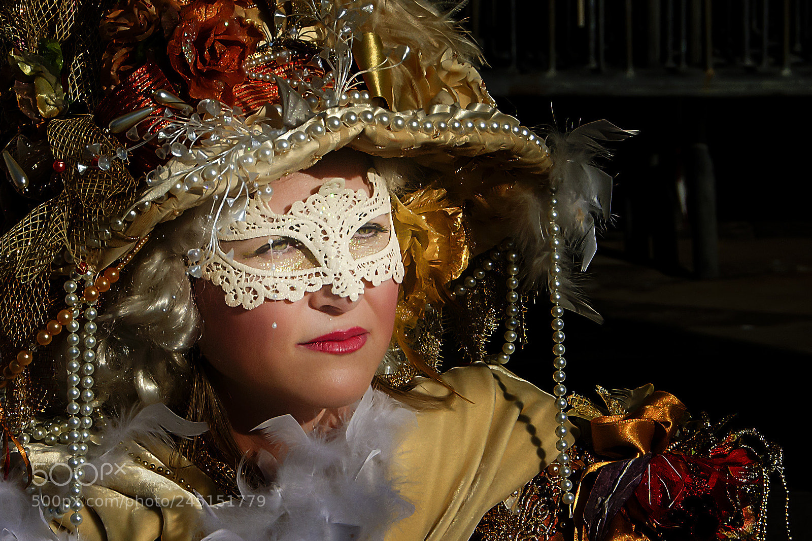 Nikon D5100 sample photo. Carnevale di venezia 2018 photography