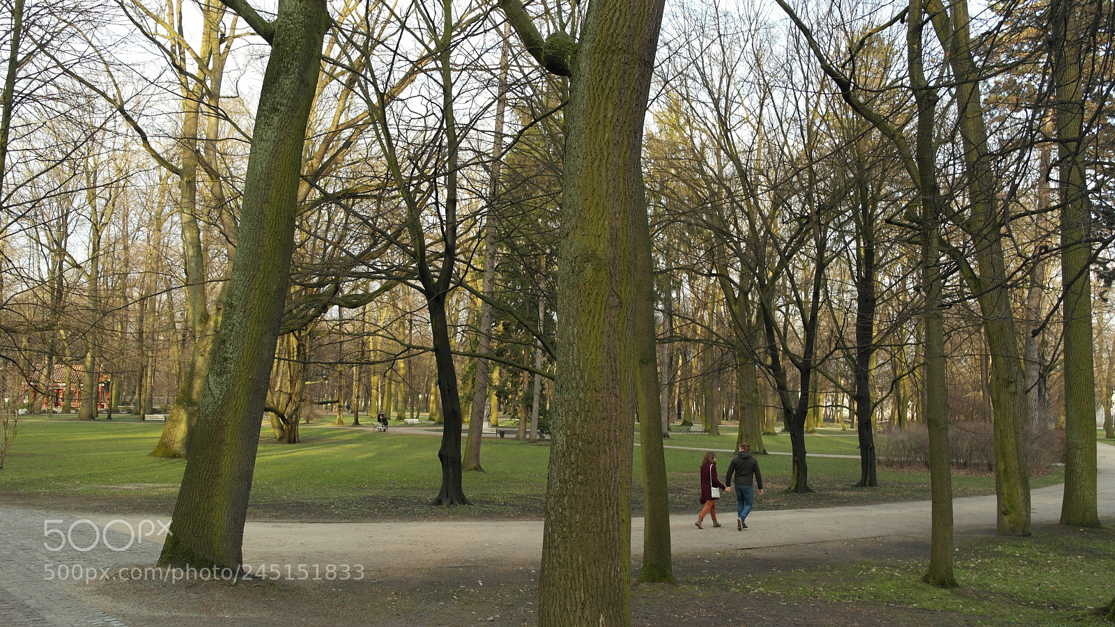 Samsung NX1000 sample photo. Shopin park,portland photography