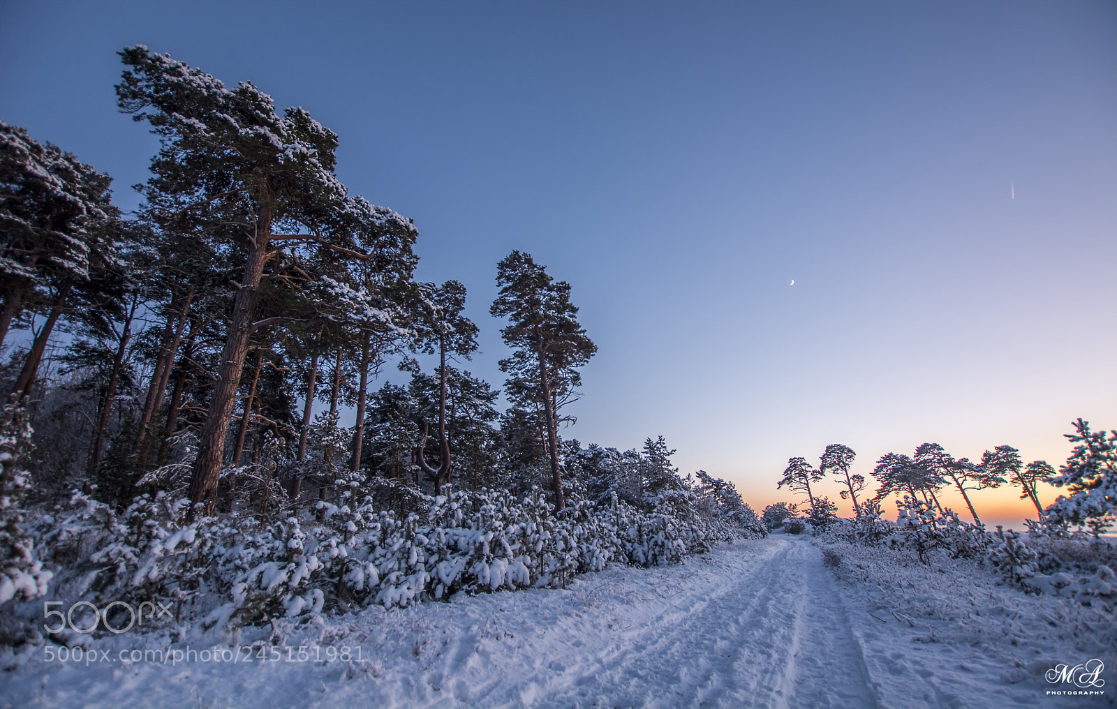 Nikon D7100 sample photo. Winter surise photography