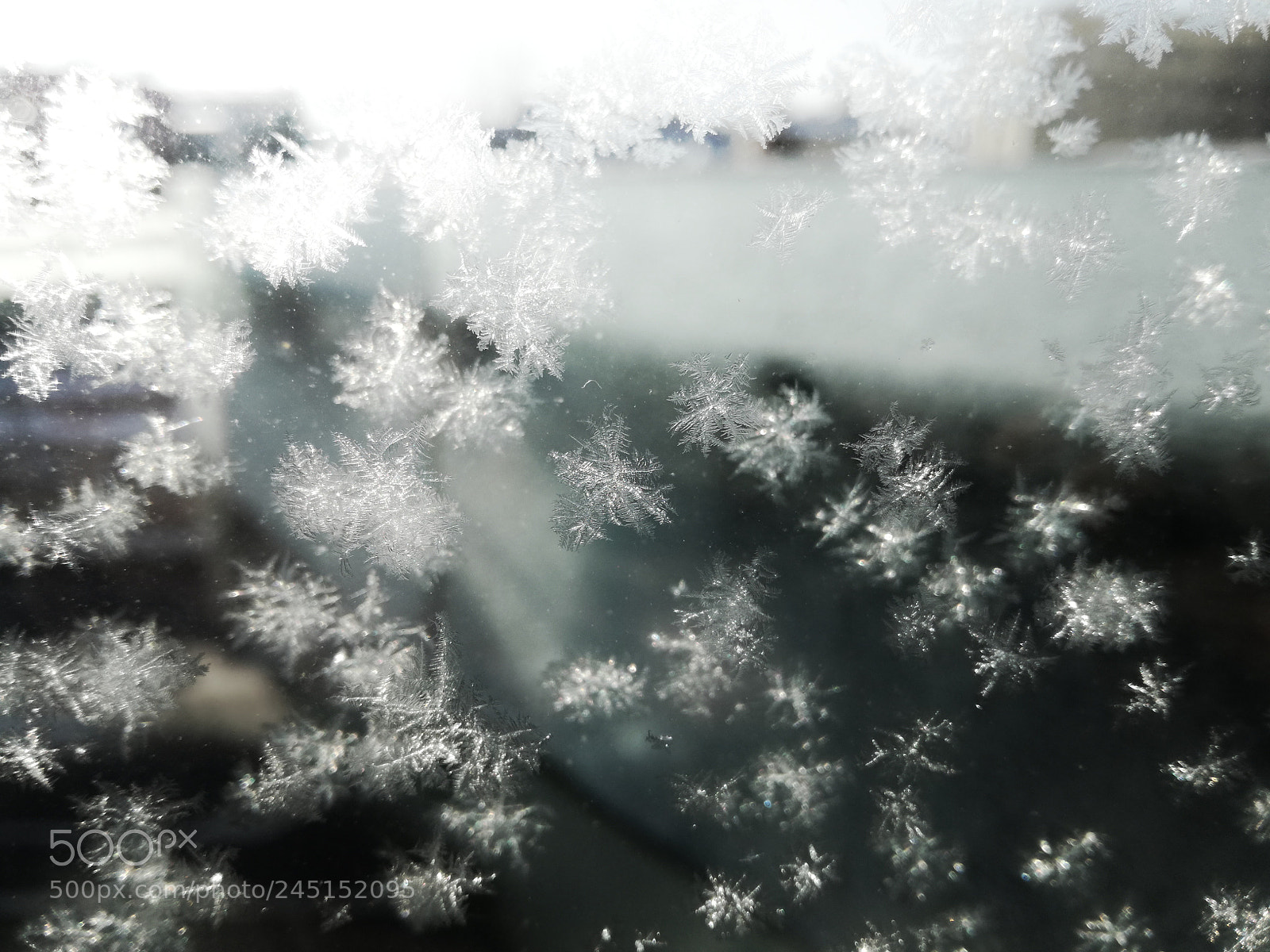 HUAWEI P9 LITE sample photo. Frozen day photography