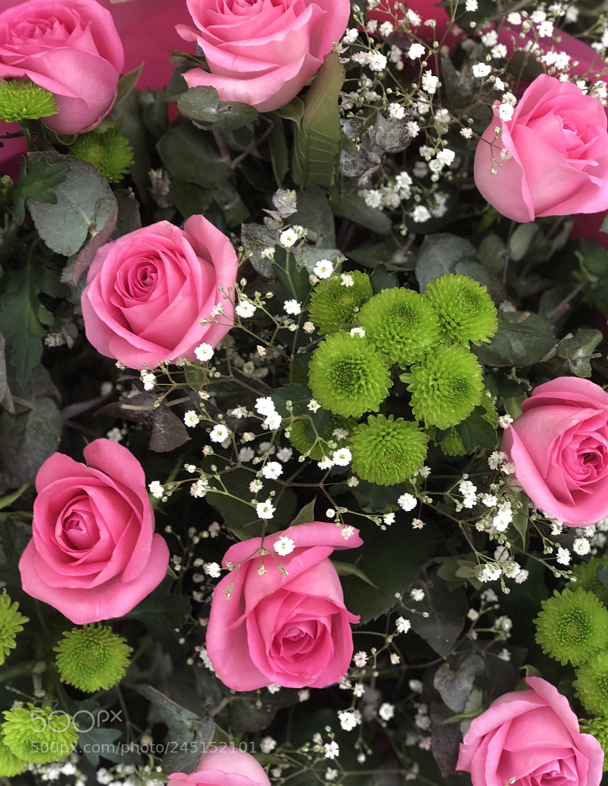 Apple iPhone 8 Plus sample photo. Beautiful flowers grateful photography