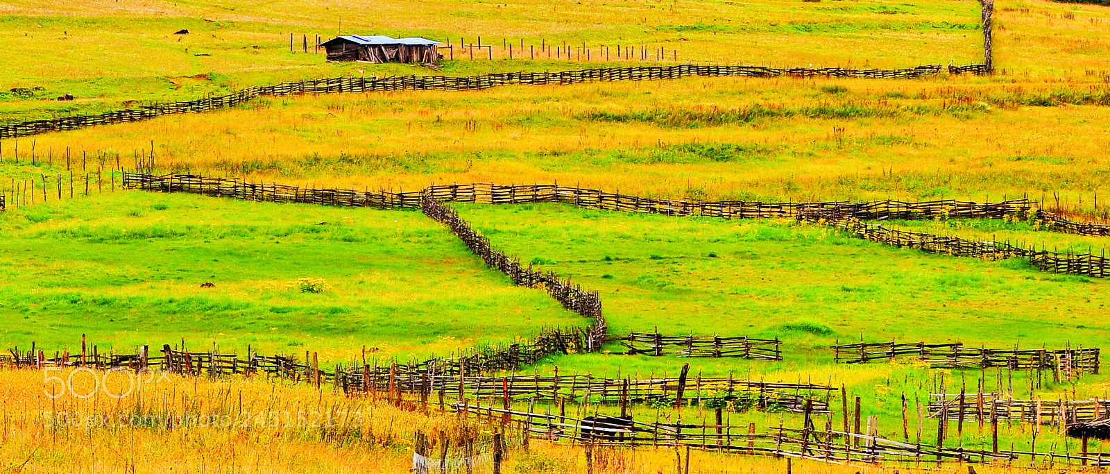 Nikon D90 sample photo. Untitled photography